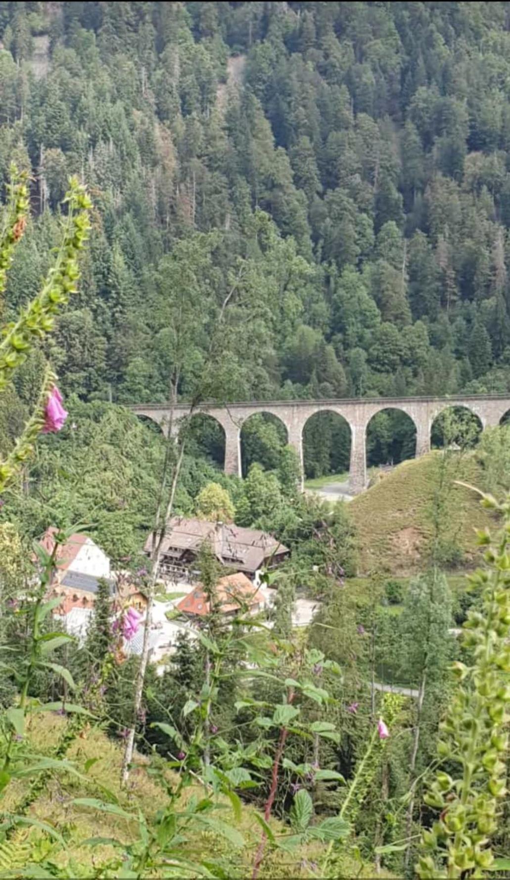 Ferienwohnung Schwarzwaldglueck Löffingen Esterno foto